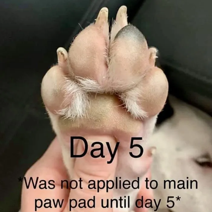 Day 5 Results