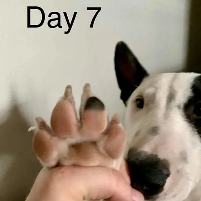 Day 7 Results